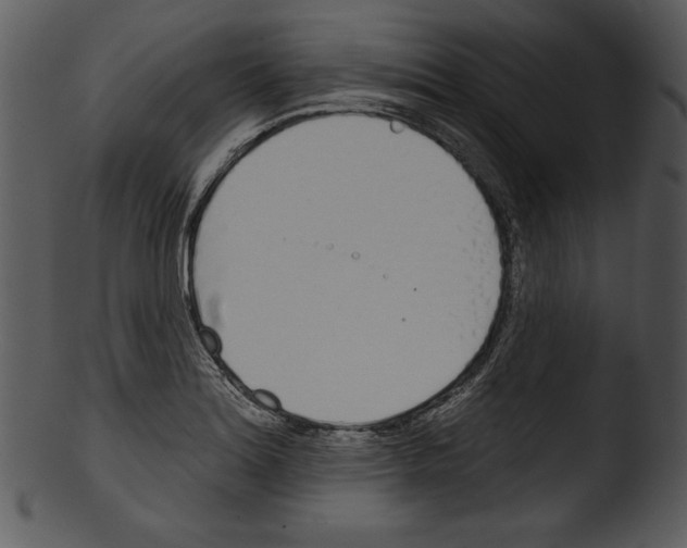 X0000103231180200809251257