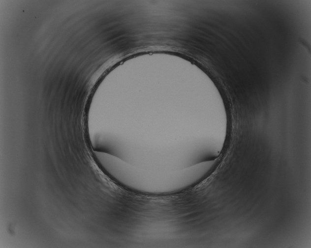 X0000103231181200809251257