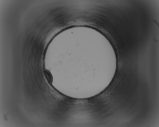 X0000103231183200809251257