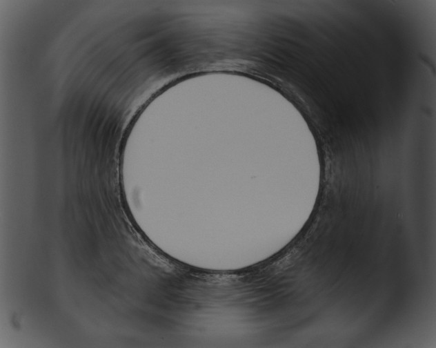 X0000103231184200809251257