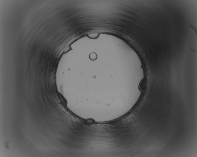 X0000103231185200809251257