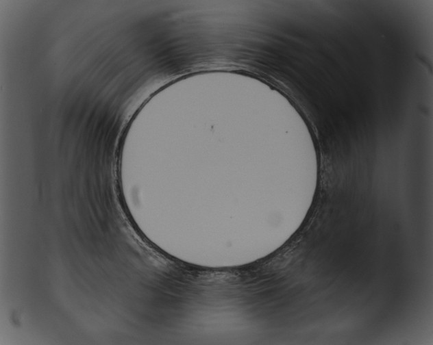 X0000103231187200809251257