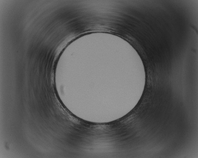 X0000103231188200809251257