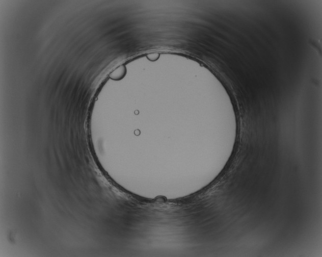 X0000103231189200809251257