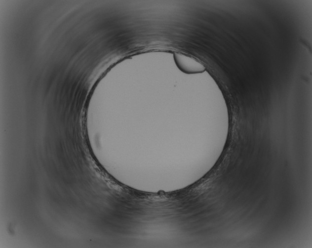 X0000103231190200809251257