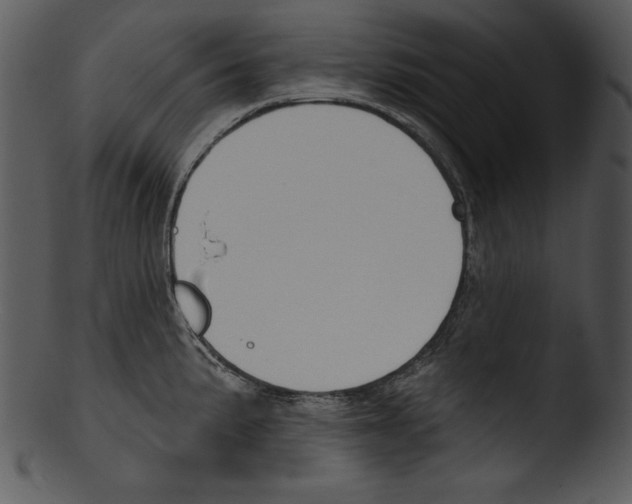 X0000103231191200809251257