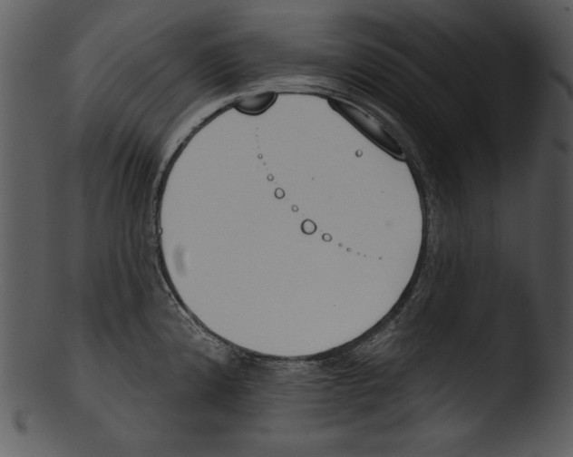 X0000103231192200809251257