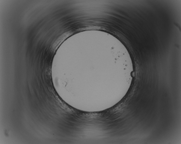 X0000103231193200809251257