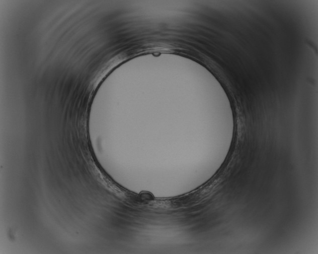 X0000103231194200809251257
