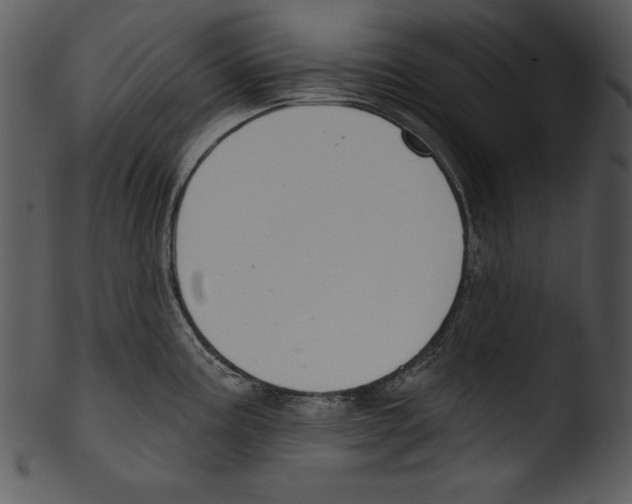 X0000103231195200809251257
