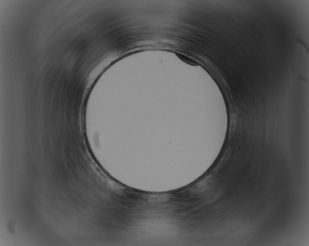 X0000103231196200809251257