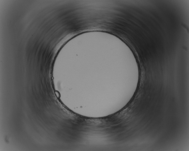 X0000103231197200809251257