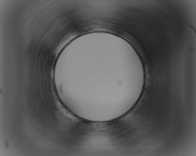 X0000103231198200809251257