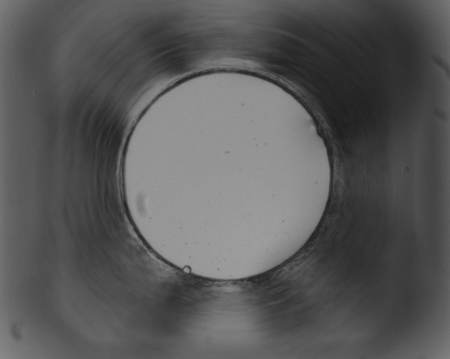 X0000103231199200809251257