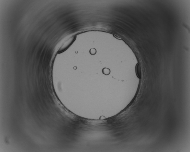 X0000103231200200809251257