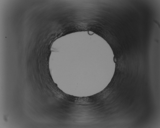 X0000103231201200809251256