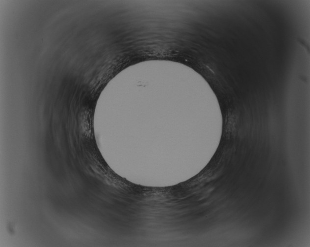 X0000103231202200809251256