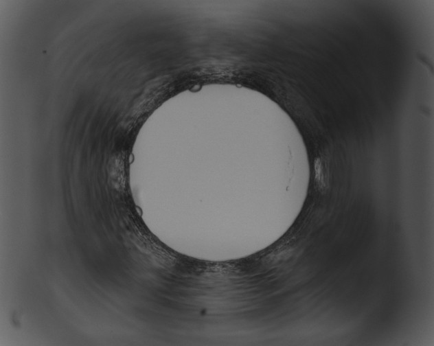 X0000103231203200809251256