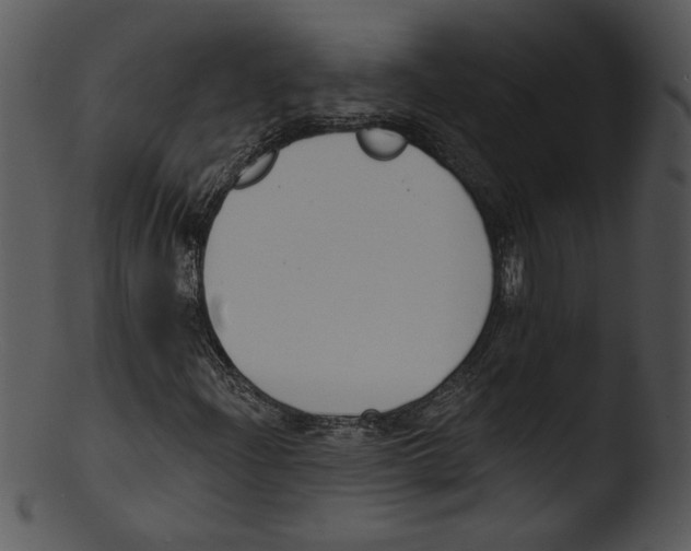 X0000103231204200809251256