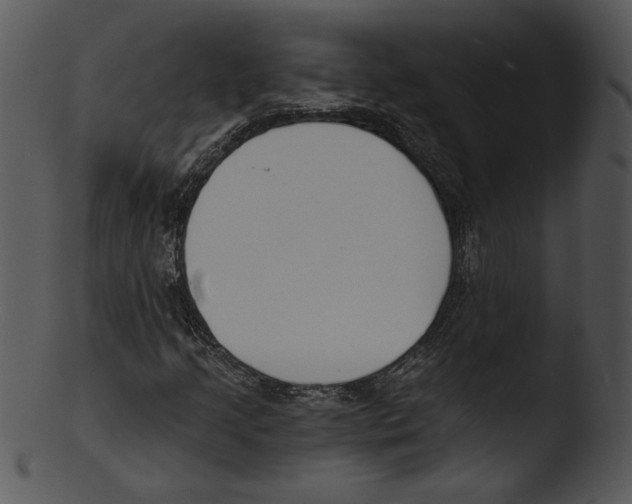 X0000103231205200809251256
