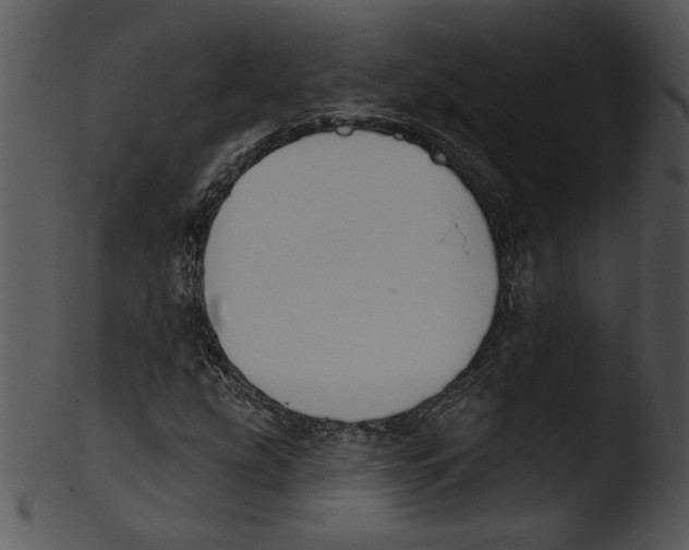 X0000103231207200809251256