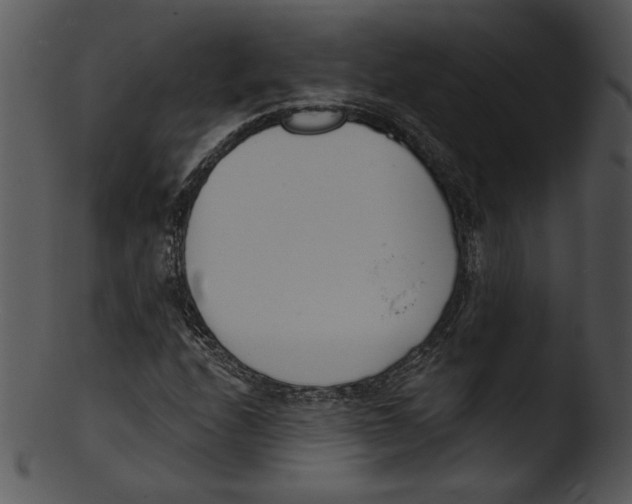 X0000103231208200809251256