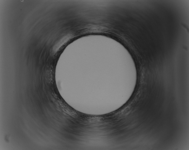 X0000103231211200809251256