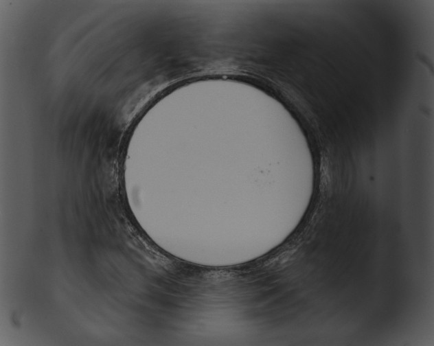 X0000103231212200809251256