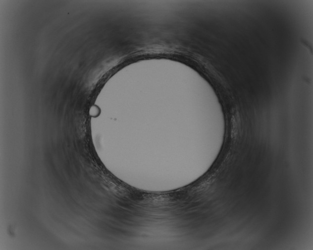 X0000103231213200809251256