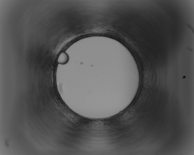 X0000103231214200809251256