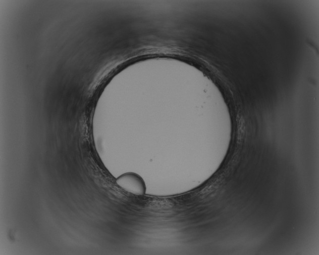 X0000103231215200809251256