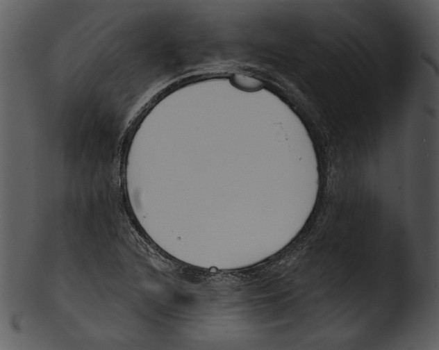 X0000103231216200809251256