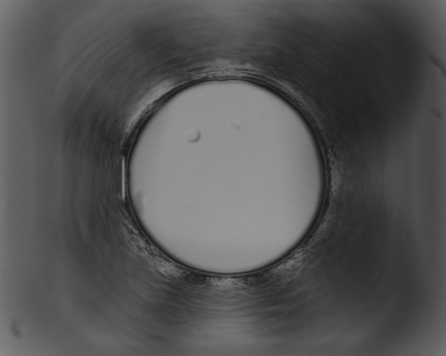 X0000103231219200809251256