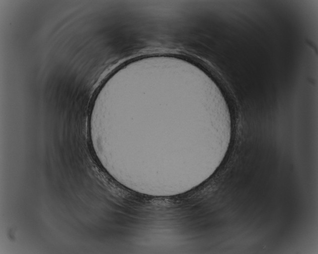 X0000103231220200809251256
