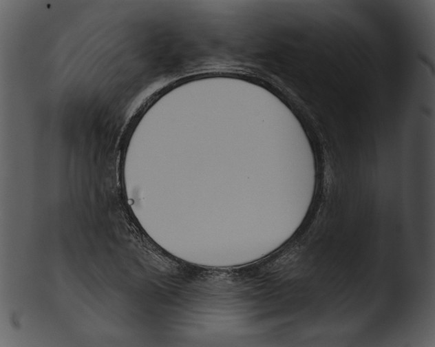 X0000103231222200809251256