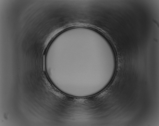 X0000103231223200809251256
