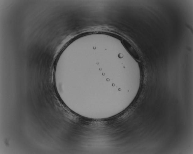 X0000103231224200809251256