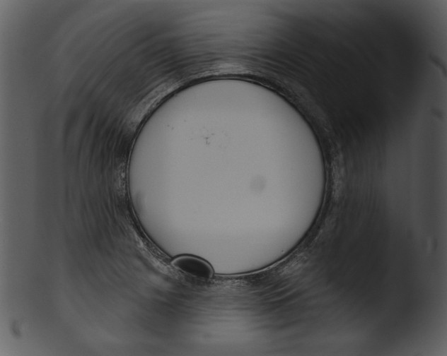 X0000103231225200809251256