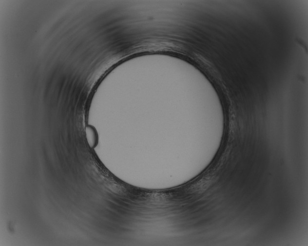 X0000103231226200809251256