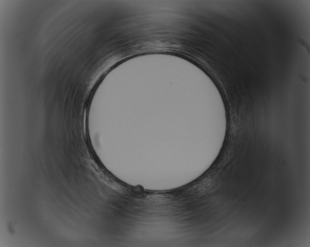 X0000103231227200809251256