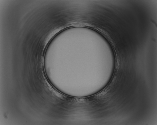 X0000103231231200809251257