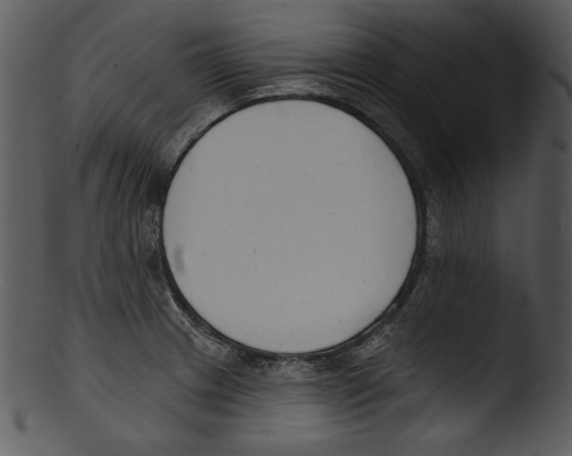 X0000103231233200809251257