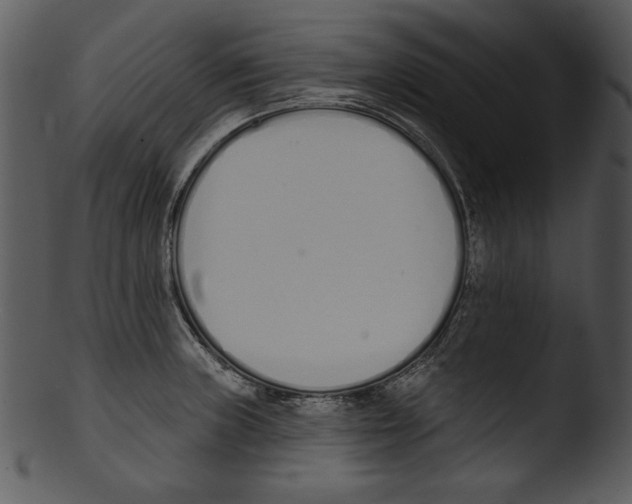 X0000103231235200809251257