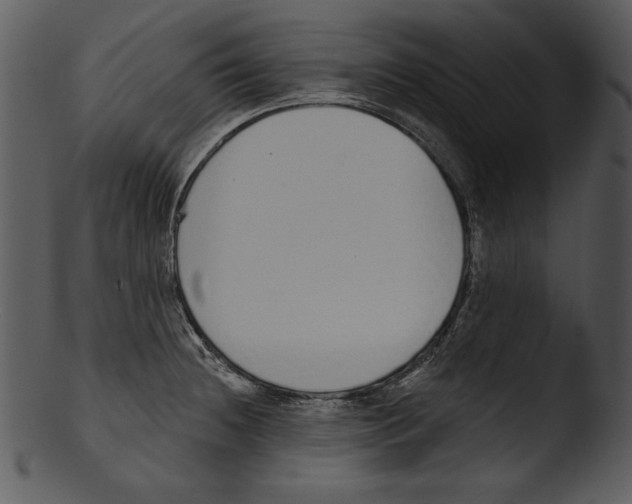 X0000103231236200809251257