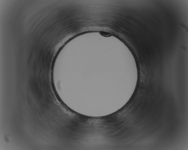 X0000103231237200809251257