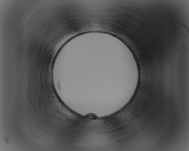 X0000103231238200809251257