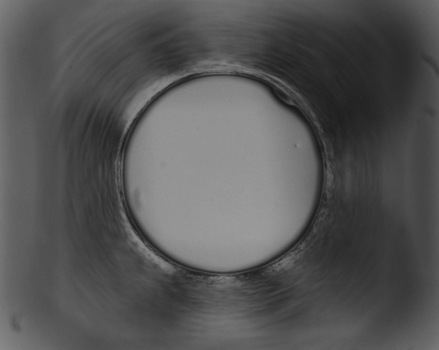 X0000103231239200809251257