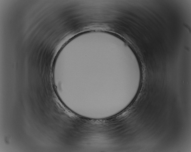 X0000103231240200809251257