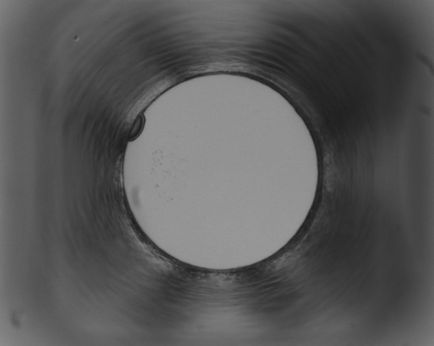 X0000103231241200809251257