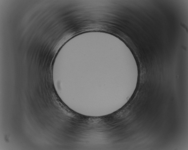 X0000103231242200809251257